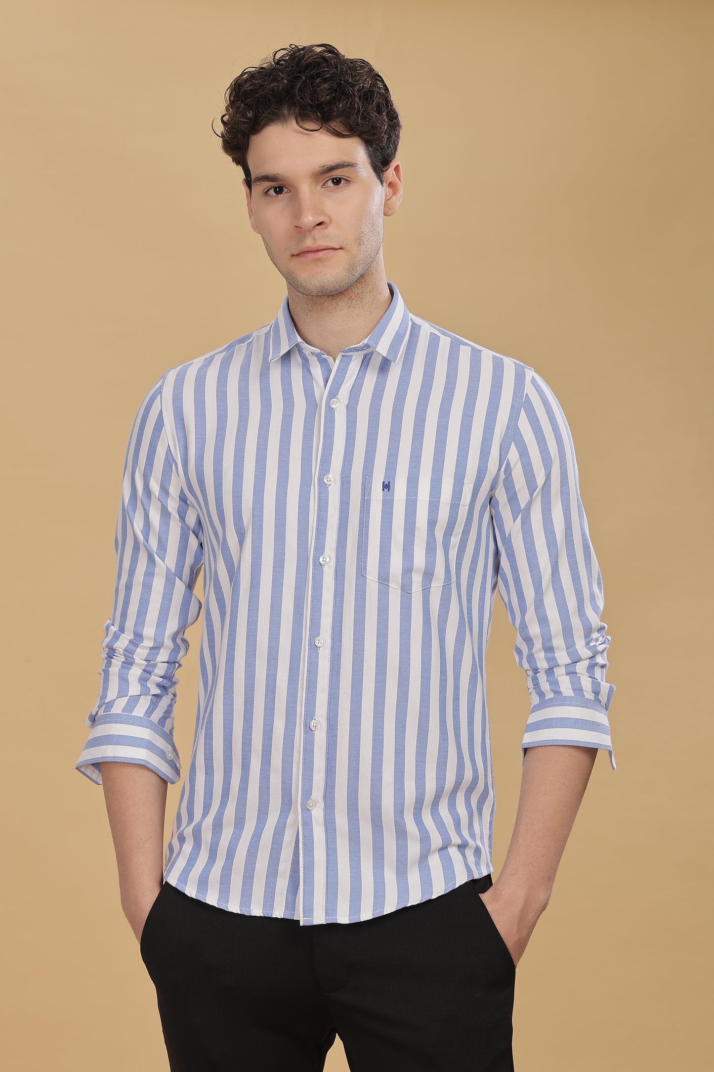 HAITCH Oxford Cotton Blue Stripes Shirt