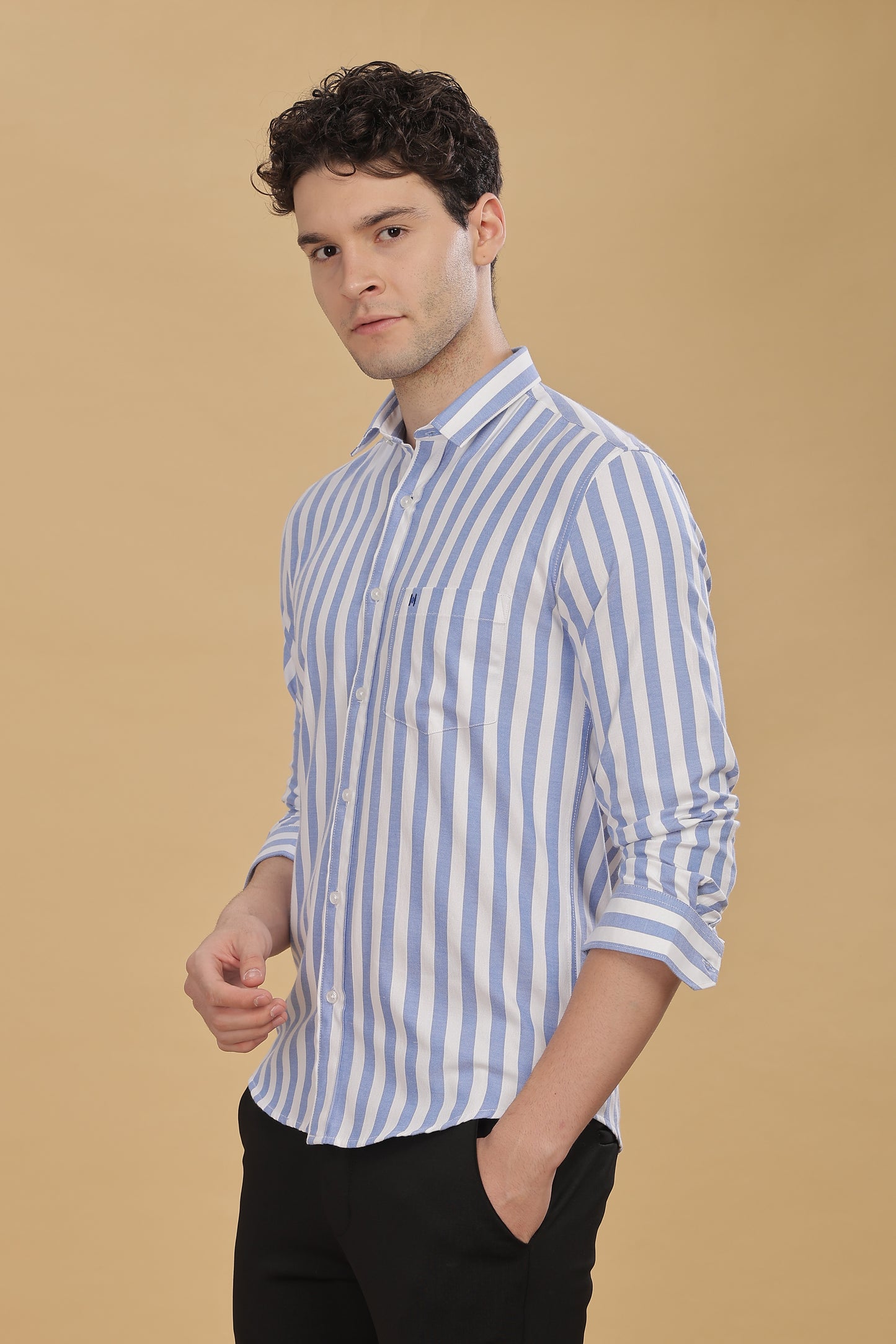HAITCH Oxford Cotton Blue Stripes Shirt