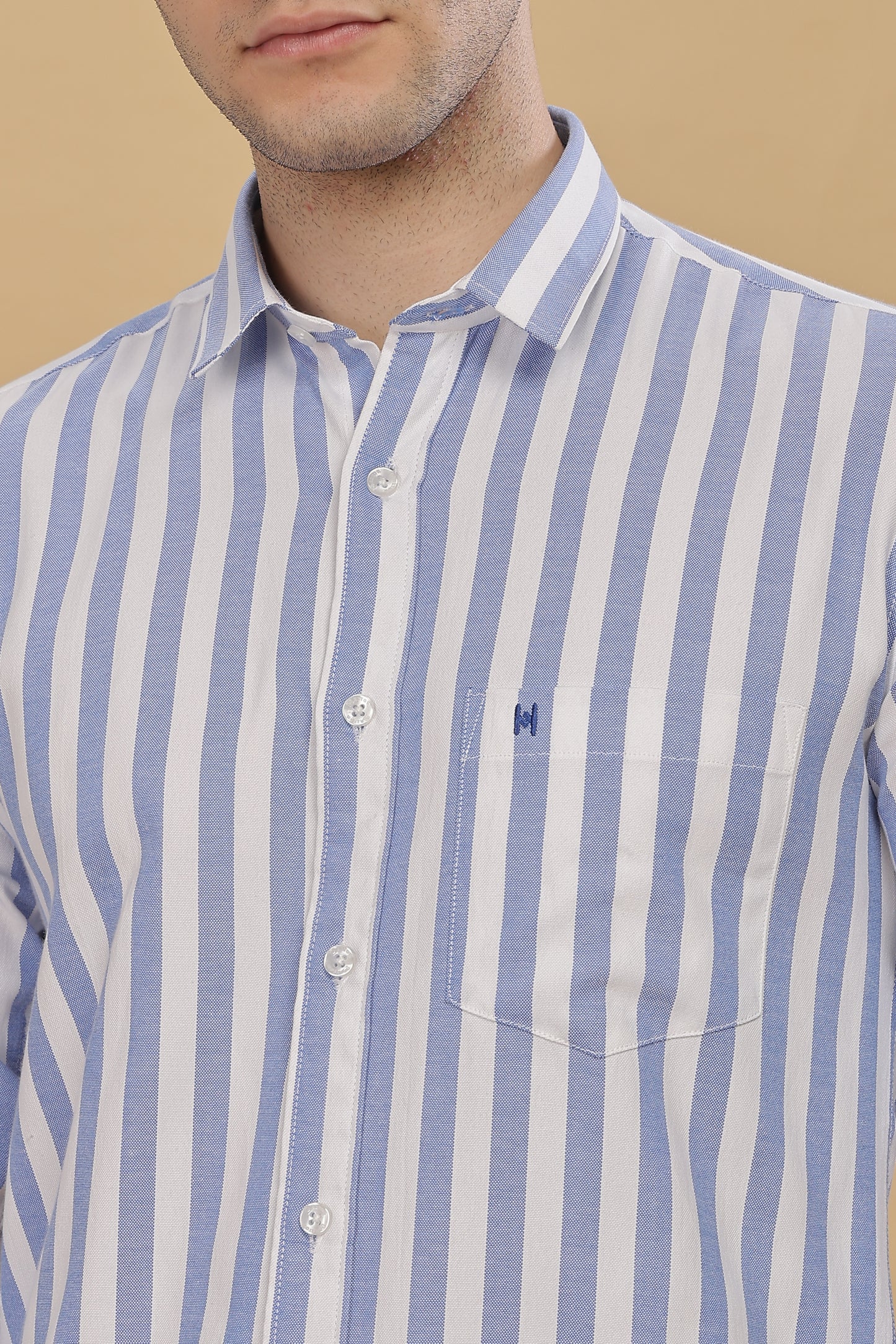 HAITCH Oxford Cotton Blue Stripes Shirt